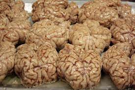 Eat Brainy Foods