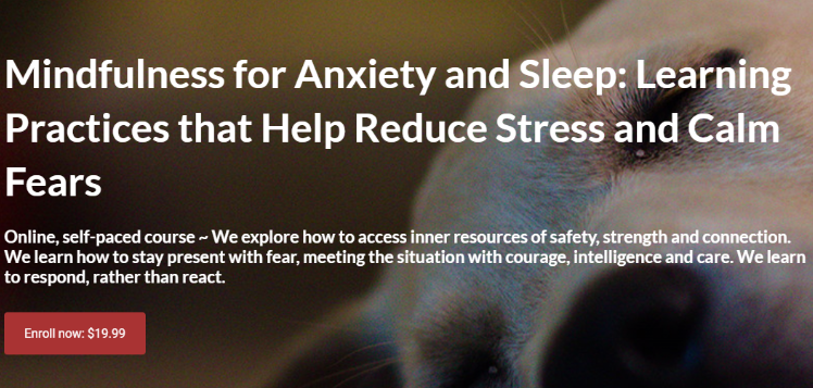 Mindfulness for Anxiety and Sleep
