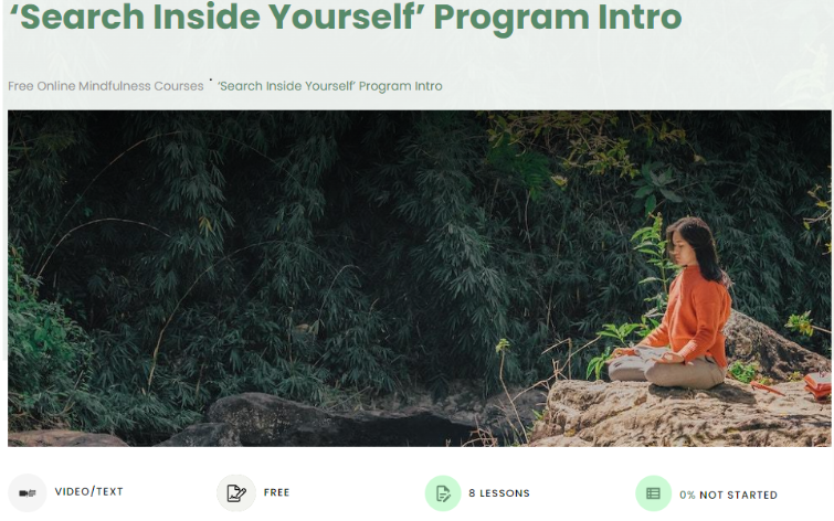 Search Inside Yourself’ Program Intro